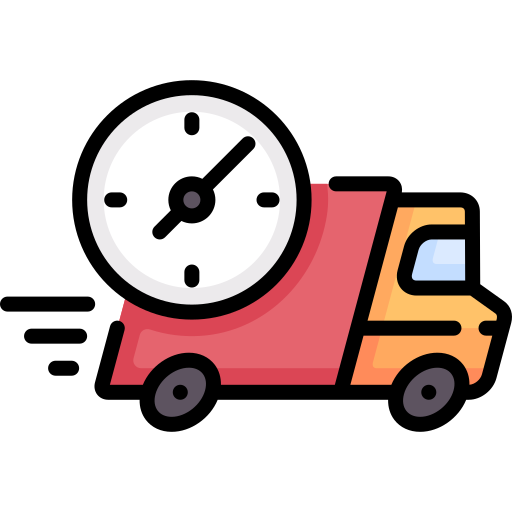 Fast Express Shipping